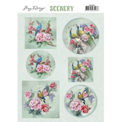 (CDS10026)Scenery - Amy Design - Aquarella - Birds