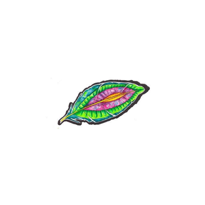 (JL-MM-STAMP188)Studio Light JL Clear stamp Feather and flowers Mindful Moodling nr.188