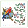 (SPDO072)Sparkles Set 72 - Amy Design - Tropical Parrots