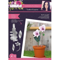 (SCC-AF-GFL-MD-ORCH)Crafter's Companion Arts 'n Flowers Garden Florals Metal Dies Orchid