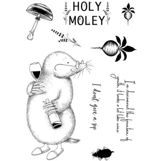 (PI152)Pink Ink Designs Holy moley A5 Clear Stamp