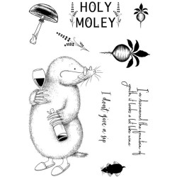(PI152)Pink Ink Designs Holy moley A5 Clear Stamp