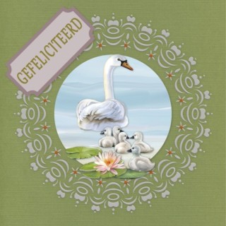 (DODOOC10019)Dot and Do on Colour 19 - Amy Design - Elegant Swans