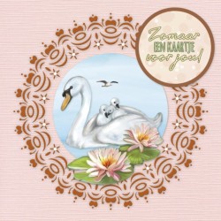 (DODOOC10019)Dot and Do on Colour 19 - Amy Design - Elegant Swans
