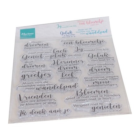 (CS1100)Clear Stamp Droom en geniet