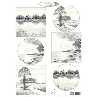 (IT614)3D - Tiny's Serenity