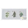(3027)CraftEmotions clearstamps A5 - Herbs