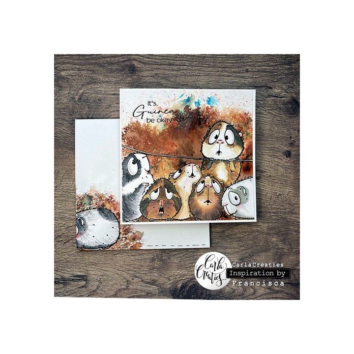 (1540)CraftEmotions clearstamps A6 - Guinea pig 2 Carla Creaties