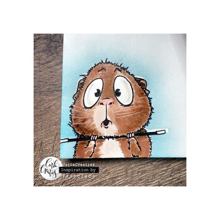 (1541)CraftEmotions clearstamps A6 - Guinea pig 3 Carla Creaties
