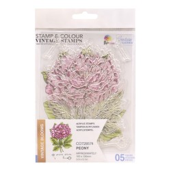 (CO728574)Couture Creations Peony Stamp and Colour Set