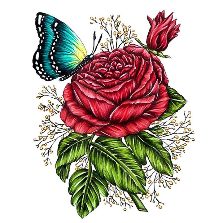 (CO728575)Couture Creations Rose Stamp and Colour Set (4pc)