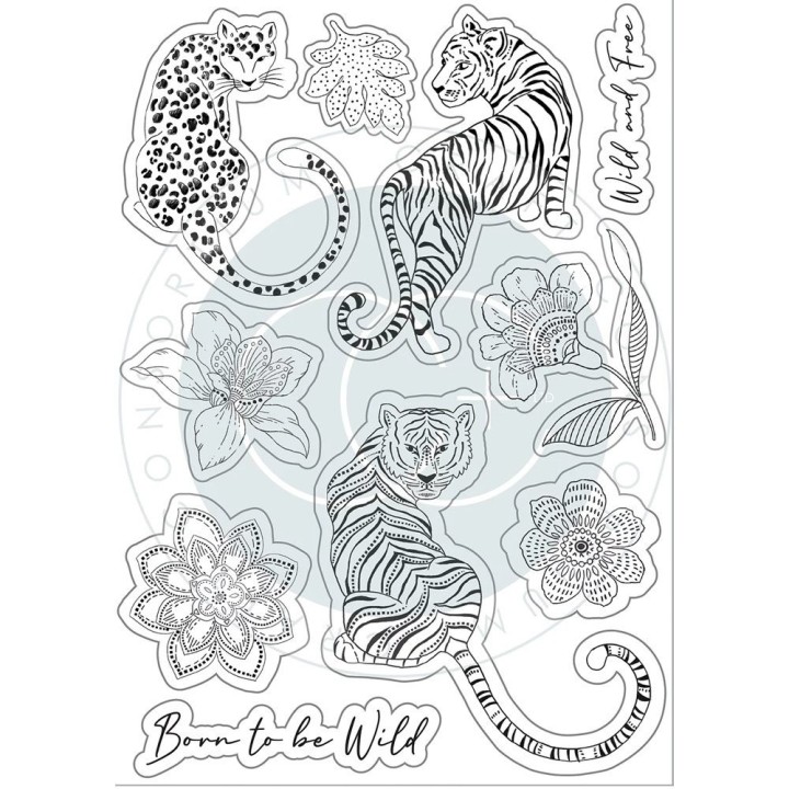 (CCSTMP080)Craft Consortium Enchanted Jungle Clear Stamps