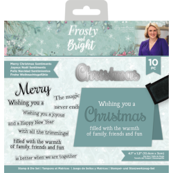 (S-FRBR-STD-MECS)Crafter's Companion Frosty and Bright Stamp & Die Merry Christmas Sentiments