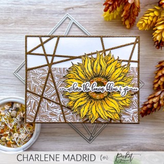 (F-168)Picket Fence Studios Forever Sunflower Seeds 4x4 Inch Clear Stamps