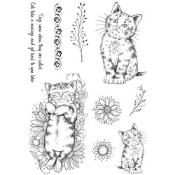 (PI185)Pink Ink Designs Kitten A5 Clear Stamp