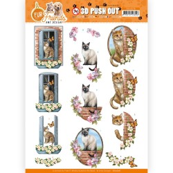 (SB10678)3D Push Out - Amy Design - Fur Friends - Cat on the Wall