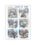 (CDS10129)Scenery - Amy Design - Push Out