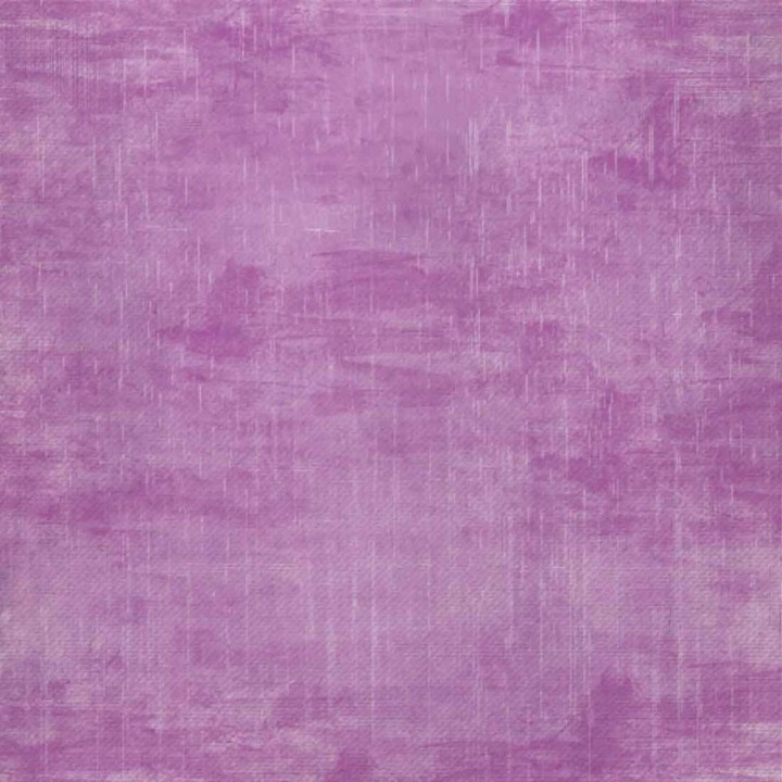 (2007512)Cricut Infusible Ink Transfer Sheets Distressed Berry (4pcs)
