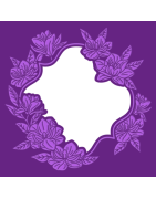 (GEM-CEF5-FRAMAG)Gemini Floral Frame Fragrant Magnolias Cut and Emboss Folder