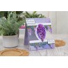 (NG-WC-MD-TWIS)Crafter's Companion Wisteria Collection Metal Die Trailing Wisteria