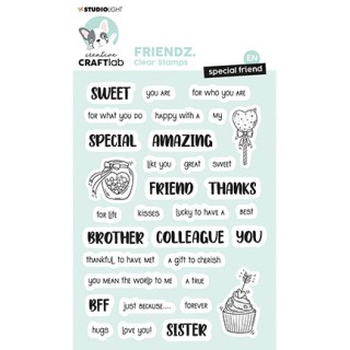 (CCL-FR-STAMP337)Studio light Clear stamp Special friend ENG Friendz nr.337