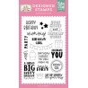 (BWG296044)Echo Park Wish Big Designer Stamps