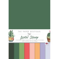 (PB1973)The Paper Boutique Lookin' Sharp Colour Card Collection
