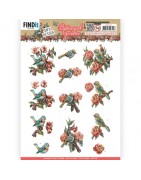 (SB10732)3D Push Out - Amy Design - Botanical Garden - Colorful Birds