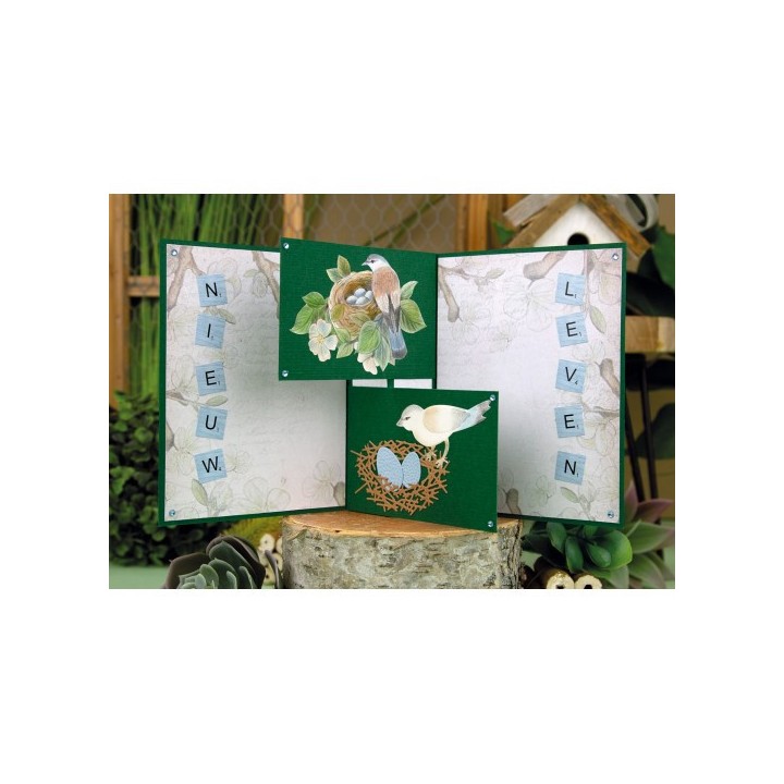 (SB10748)3D Push Out - Jeanine's Art - Vintage Birds - Bird's Nest