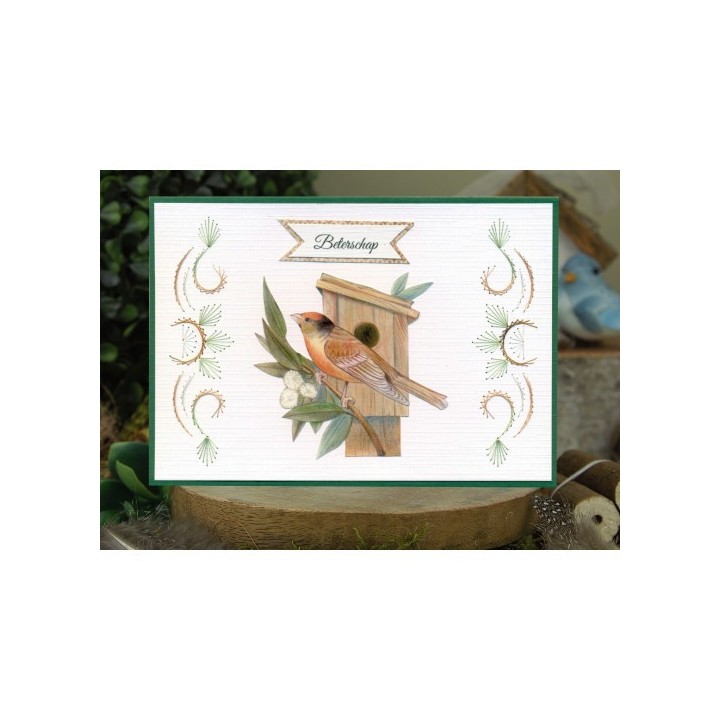 (SB10749)3D Push Out - Jeanine's Art - Vintage Birds - Wooden Bird House