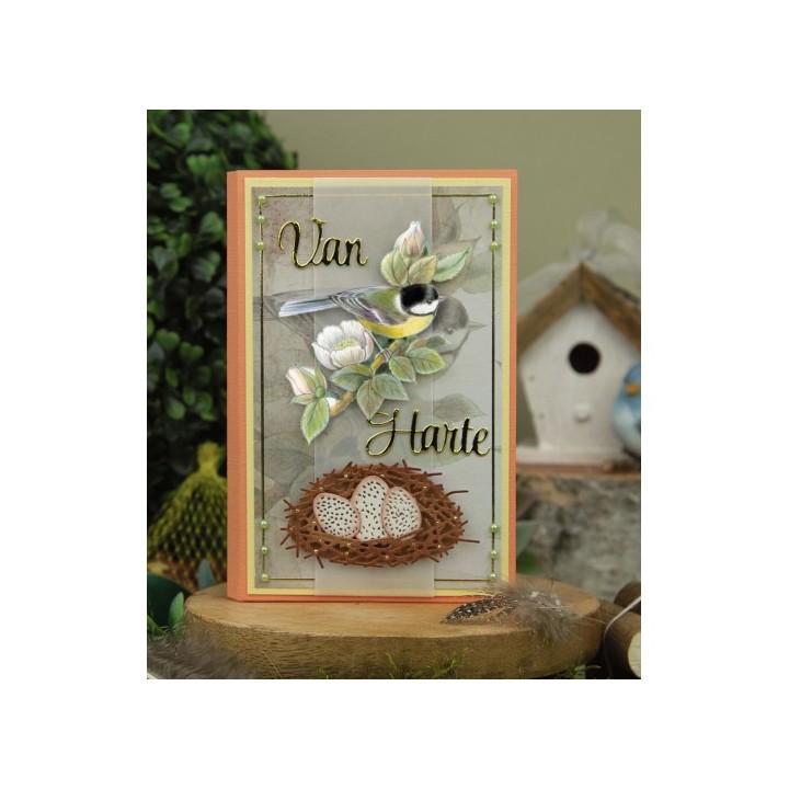 (SB10750)3D Push Out - Jeanine's Art - Vintage Birds - Birdcage