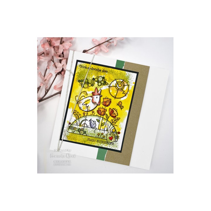 (FRM055)Woodware Circles Clear Stamps