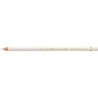 (101)Pencil FC Polychromos white