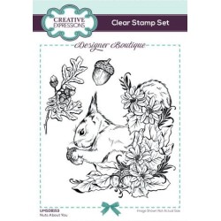 (UMSDB153)Creative Expressions Designer Boutique Clear Stamp A6 Nuts About You