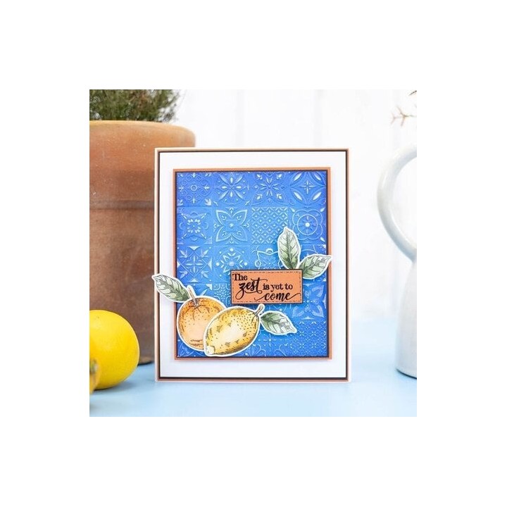 (MED-STD-LYZL)Crafter's Companion Mediterranean Dreams Stamp & Die Live Your Zest Life