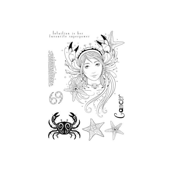(PI220)Pink Ink Designs Cancer "The Psychic" A5 Clear Stamps