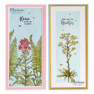 (TC0914)Clear stamp Tiny's borders - Euphorbia