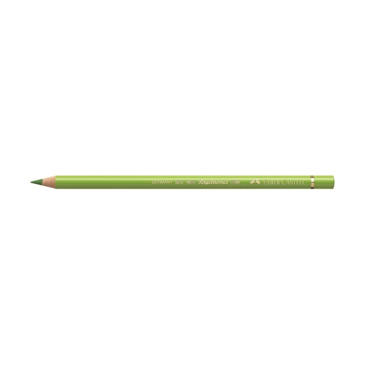 (170)Farbstift Polychromos maigrün