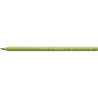 (170)Pencil FC polychromos may green