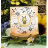 (DBACS10004)Designed By Anna - Mix And Match Clear Stamps - Barbara Bee
