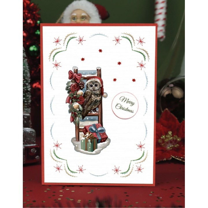 (SB10774)3D Push-Out - Amy Design - Snowy Christmas - Snowy Owl
