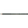 (267)Crayon FC Polychromos vert pin