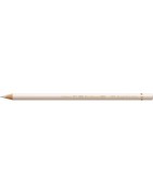 (270)Pencil FC polychromos warm grey I