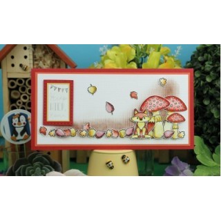 (DBACS10005)Designed By Anna - Mix And Match Clear Stamps - Felix Fox