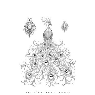 (KK0034)Katkin Krafts Picturesque Peacock A5 Clear Stamp Set