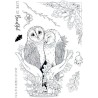 (PI235)Pink Ink Designs An Owl In The Hand A5 Clear Stamps