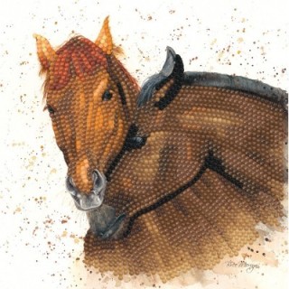 (BMSA01)Bree Merryn - Diamond Art Card Kit - Chilli & Pepper
