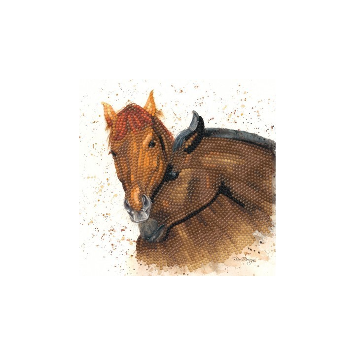 (BMSA01)Bree Merryn - Diamond Art Card Kit - Chilli & Pepper