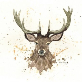 (BMSA02)Bree Merryn - Diamond Art Card Kit - Sheridan