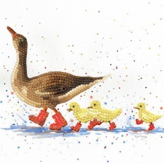 (BMSA03)Bree Merryn - Diamond Art Card Kit - Puddle Parade